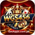 WGS456 Game
